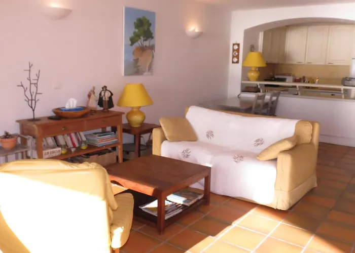 3 Pieces Avec Piscine Et Climatisation, Vue Mer, Animaux Admis A - Fr-1-780-52 Apartment *