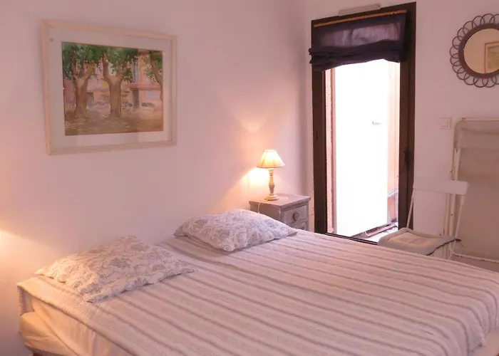 Apartment 3 Pieces Avec Piscine Et Climatisation, Vue Mer, Animaux Admis A - Fr-1-780-52 Sainte-Maxime