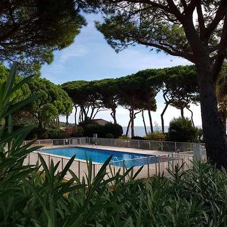 3 Pieces Avec Piscine Et Climatisation, Vue Mer, Animaux Admis A - Fr-1-780-52 * Sainte-Maxime