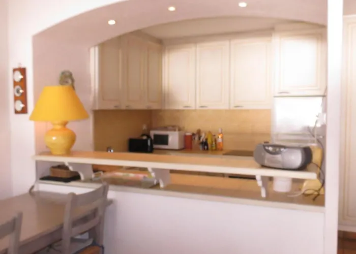 Apartamento 3 Pieces Avec Piscine Et Climatisation, Vue Mer, Animaux Admis A - Fr-1-780-52 Sainte-Maxime